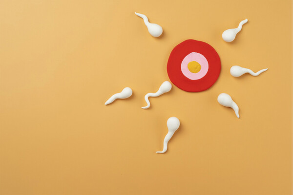 От чего зависит вкус спермы и как его изменить