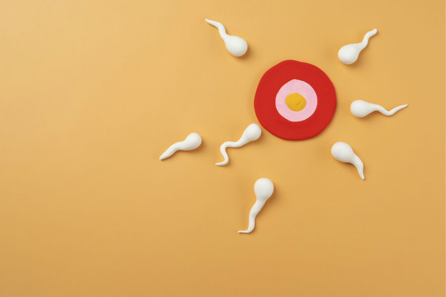Как улучшить вкус спермы: даем действенный рецепт