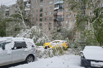 Поваленные после снегопада деревья в Москве, 2 мая 2025 года