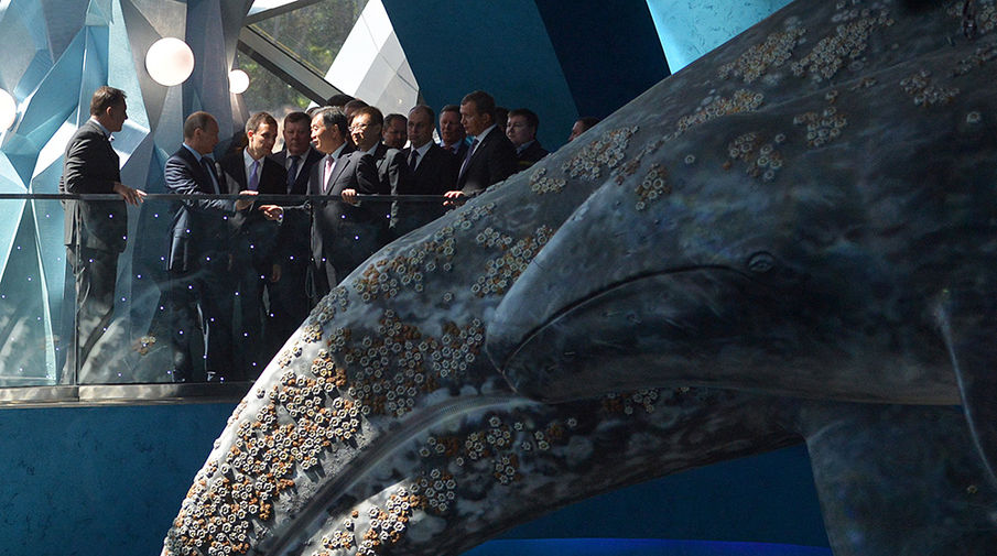 Владимир Путин во время посещения Приморского океанариума на&nbsp;острове Русский