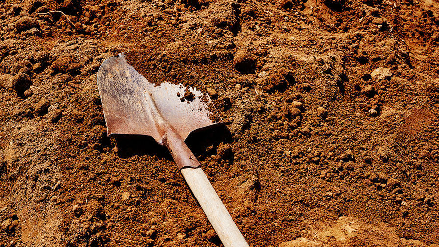 Россиянин отправится в колонию на 9 лет за убийство знакомого лопатой