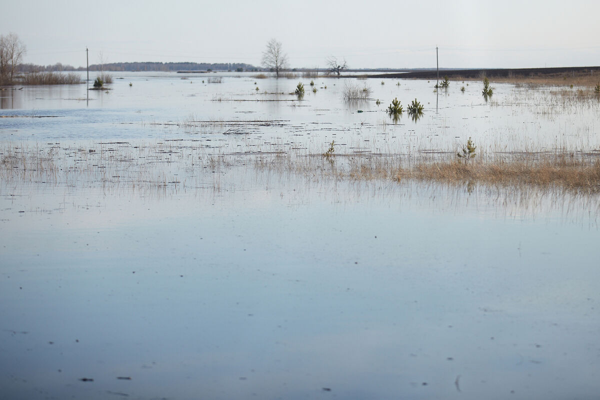 Вода в реке Тобол у Кургана поднялась выше 9 метров - Газета.Ru | Новости