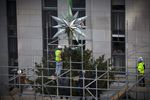 Рабочие устанавливают главную рождественскую елку США на площади Рокфеллер-плаза в Нью-Йорке