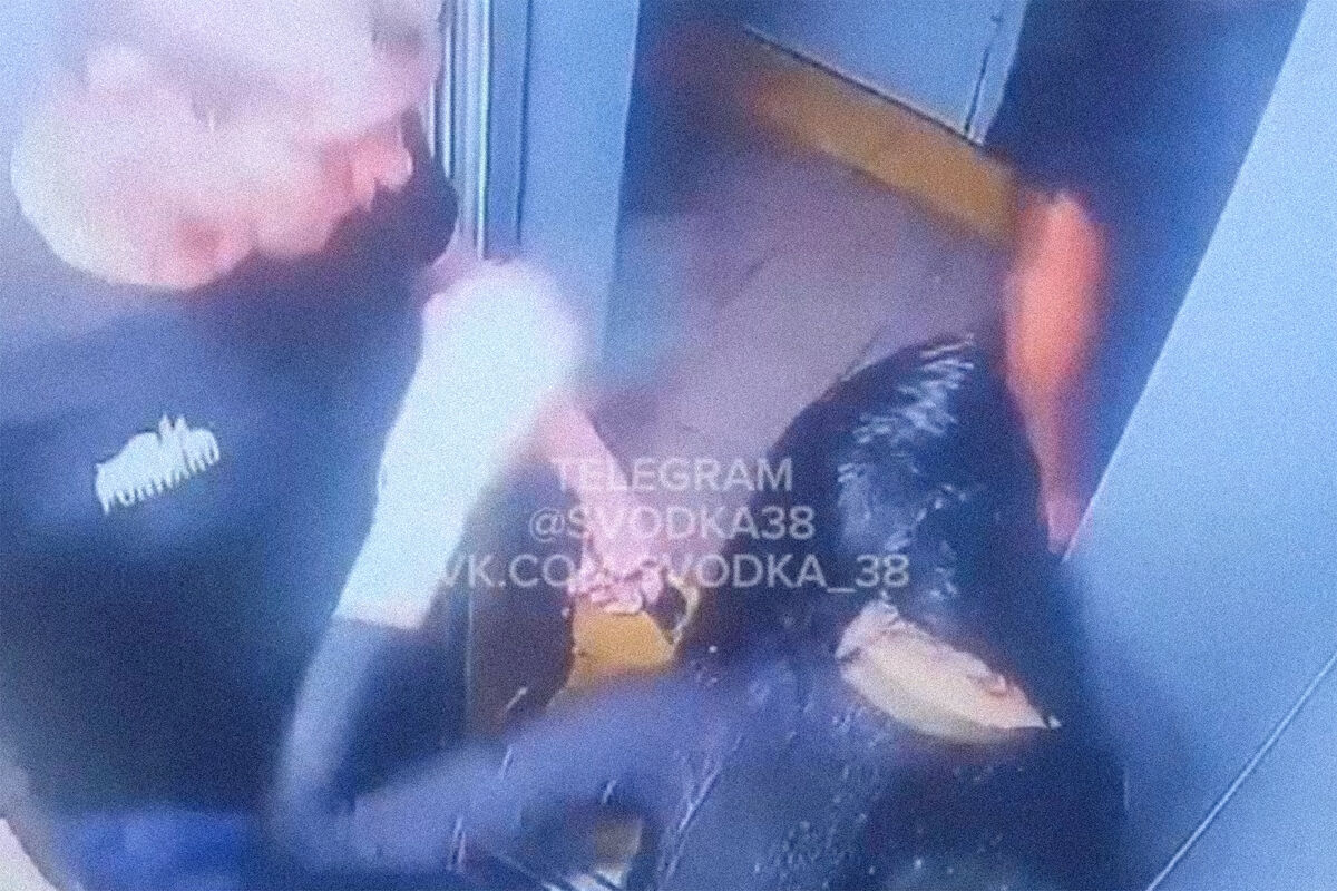 Защитила честь мужа: в Краснодаре женщина успешно вмешалась в драку мужчин в лифте | Югополис