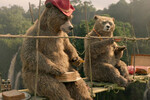 <b>«Приключения Паддингтона» (2014)</b>
<br><br>
Занимался Майкл Гэмбон и озвучиванием персонажей — именно его голосом заговорил дядя медвежонка Паддингтона, отправившегося в Лондон в поисках новой жизни и друзей. Дядя Пастузо и его жена Люси, голос которой подарила другая звезда «Гарри Поттера», Имельда Стонтон, — первые умные медведи, обнаруженные исследователями за десятилетия до событий фильма. Однако Пастузо погибает, пытаясь защитить свою семью — потому Паддингтону и приходится бежать в Великобританию.