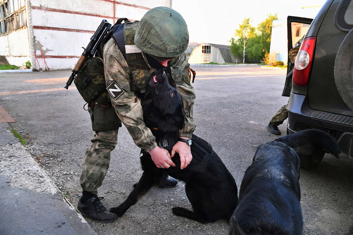Боец МВД ЛНР со служебной собакой на блокпосту в Волчанске Харьковской области, май 2022 года