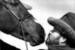 Лучано Паваротти целует подаренного ему коня, США, 1983 год