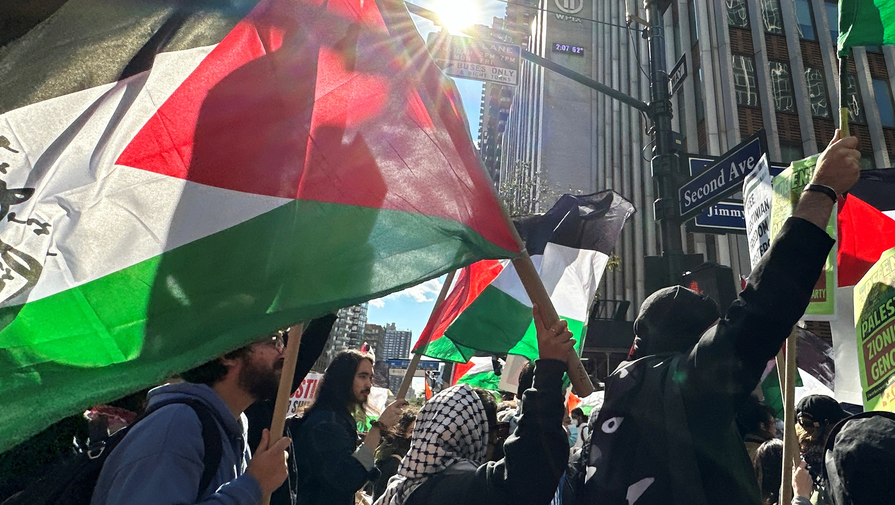 Названо число митингов, прошедших в Нью-Йорке из-за ситуации в Газе