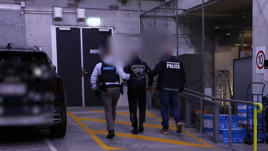 Экс-посол назвал мотивы ареста граждан РФ в Австралии по подозрению в шпионаже