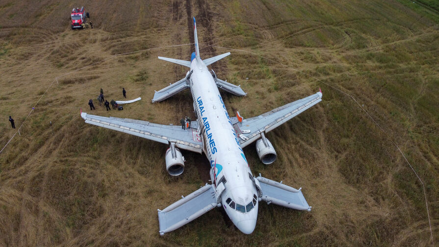 Севший в пшеничном поле под Новосибирском самолет хотят сделать экспонатом