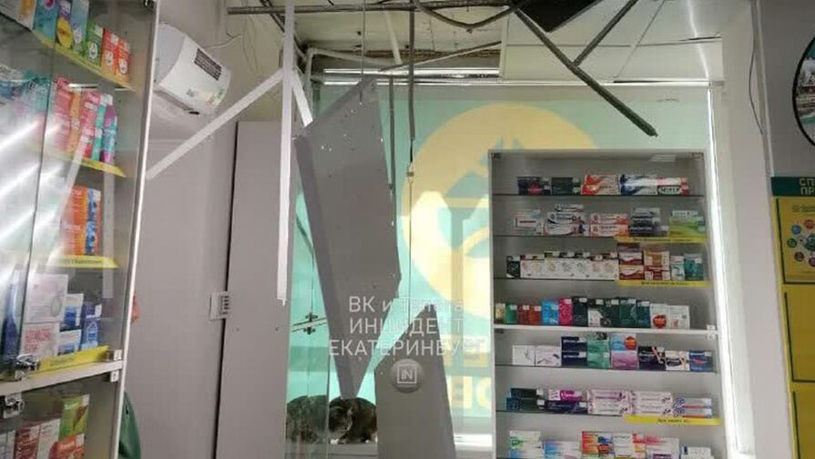 В аптеке Екатеринбурга обвалился потолок, из дыры на сотрудников упал огромный кот 