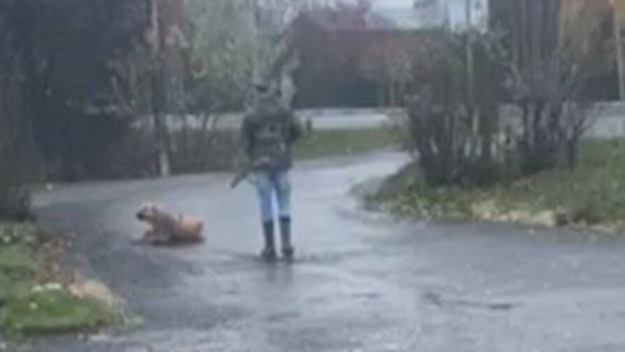 В Московской области разыскивают мужчину, который убил и привязал собаку к машине