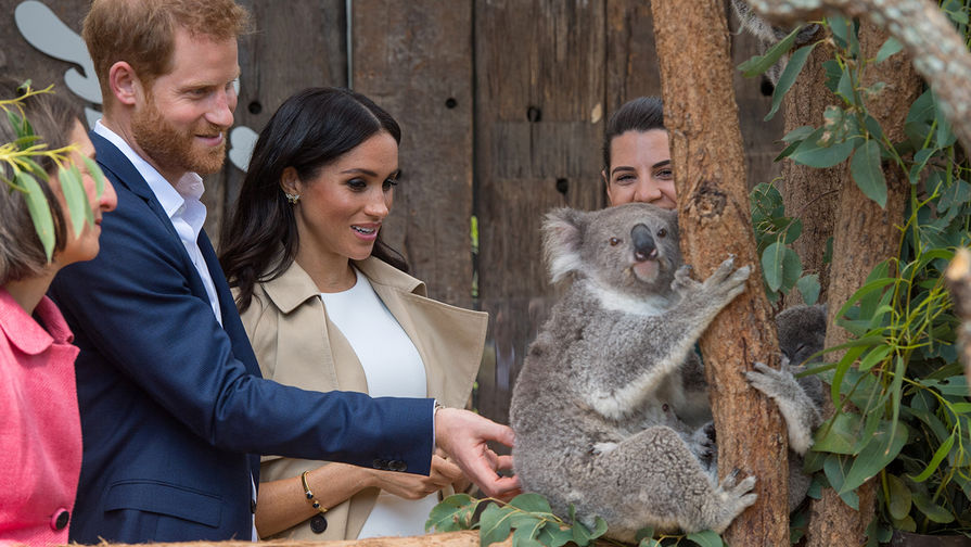 Принц Гарри Уэльский и герцогиня Сассекская Маркл с коалой Руби в зоопарке Сиднея во время визита в Австралию, 16 октября 2018 года