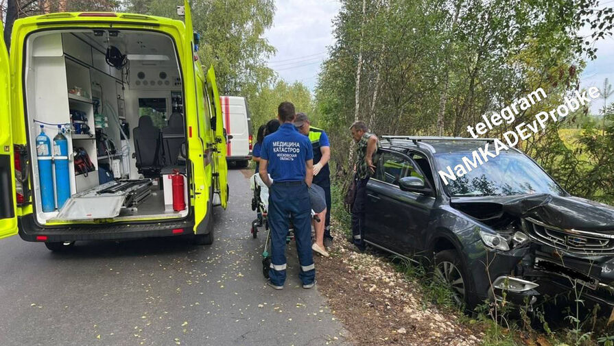 В Подмосковье кот вцепился в лицо водителя и спровоцировал ДТП