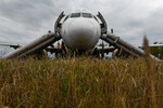 На месте аварийной посадки самолета А320 авиакомпании «Уральские авиалинии» в Новосибирской области, 12 сентября 2023 года
