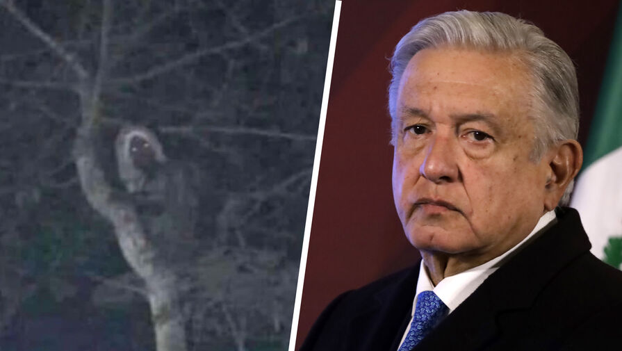 Президент Мексики поделился фотографией "лесного эльфа" и подвергся насмешкам в соцсети