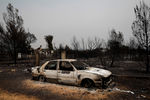 Последствия лесных пожаров в окрестностях Афин, 4 августа 2021 года