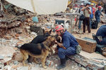 Спасательные работы после разрушительного землетрясения в Мехико, 24 сентября 1985 года