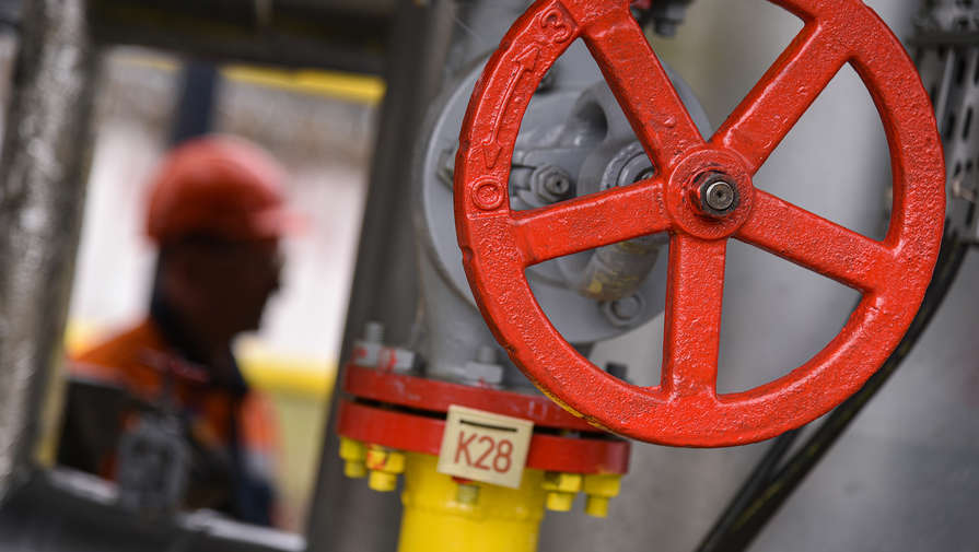 "Будем точно знать уже в мае". Новак убежден, что ЕС будет платить за газ рублями