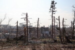 Вид на Артемовск (Бахмут), 24 марта 2023 года