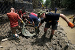 Сотрудники грузят животных зоопарка Тбилиси, погибших в результате сильного ливня и наводнения в ночь на 14 июня 
