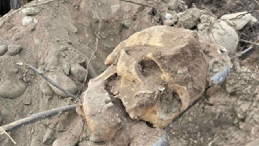Рабочие нашли человеческие останки под асфальтом в Кызыле