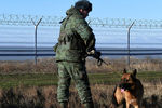 Российский пограничник со служебной собакой у заграждения, возведенного в Крыму на границе с Украиной, 28 декабря 2018 года