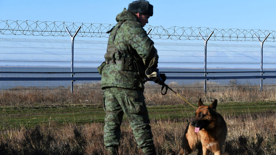 Российский пограничник со служебной собакой у&nbsp;заграждения, возведенного в&nbsp;Крыму на&nbsp;границе с&nbsp;Украиной, 28 декабря 2018 года
