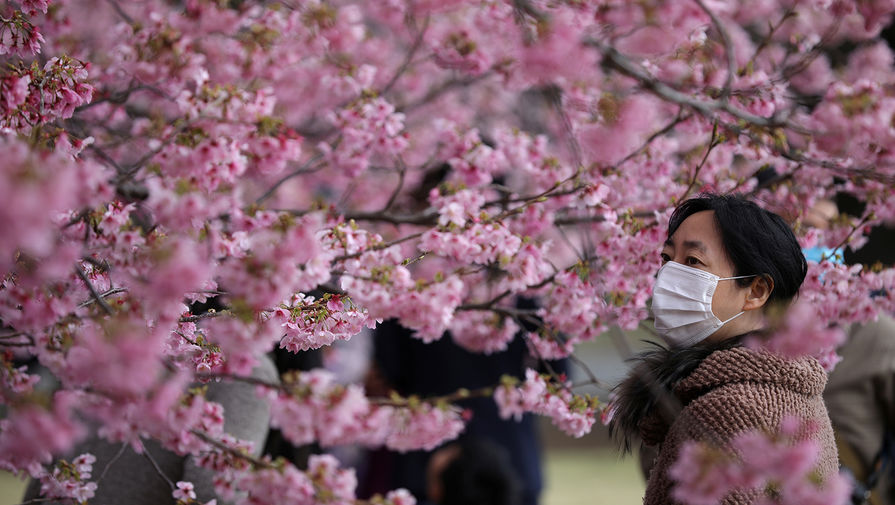 Во время сезона цветения сакуры в&nbsp;Токио, Япония, март 2020 года