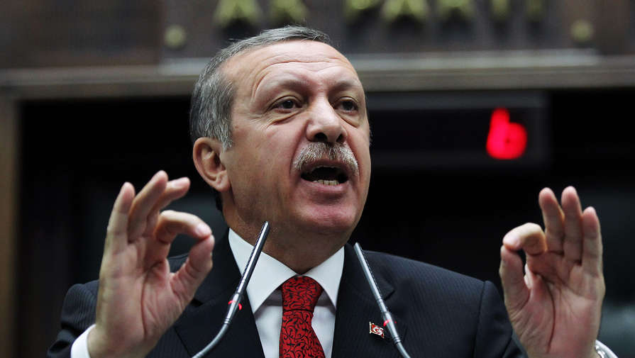 Эрдоган объяснил необходимость проведения военной операции в Сирии