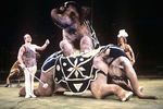 Мстислав и Долорес Запашные на арене Большого Московского государственного цирка на проспекте Вернадского, 1979 год