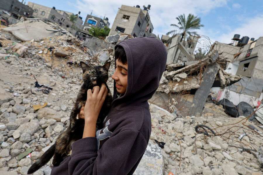Палестинский мальчик держит кошку на&nbsp;фоне руин домов в&nbsp;лагере беженцев Хан-Юнис на&nbsp;юге сектора Газа, разрушенных в&nbsp;результате израильских ударов, 27&nbsp;ноября 2023&nbsp;года