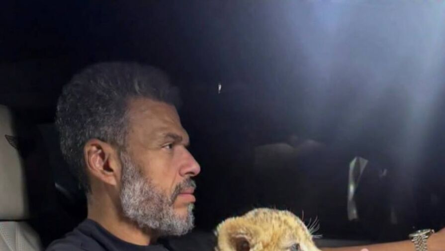 Московский блогер держит дома львенка