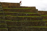 Из-за своих довольно небольших размеров Мачу-Пикчу не претендует на роль крупного города – в нём около 180 построек: резиденции, храмы, склады и жилые помещения, сложенные из хорошо обработанного камня

