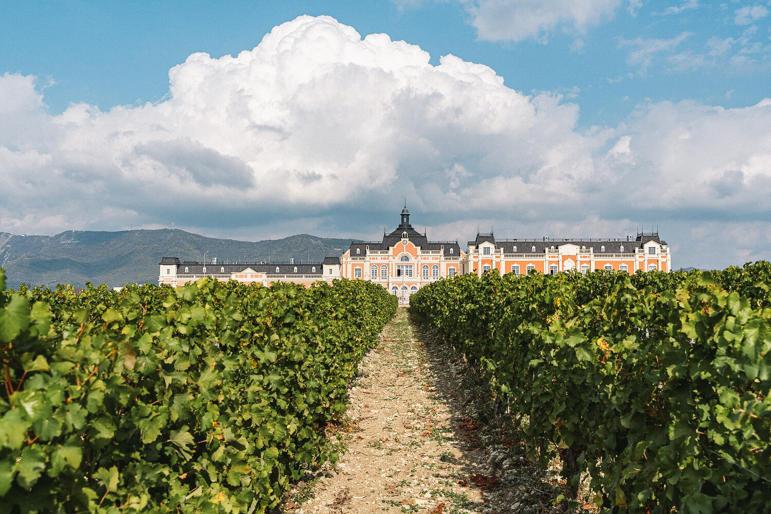 Французский замок и дегустация под звездами: 5 виноделен, которые стоит посетить в Краснодарском крае Французский замок и дегустация под звездами: 5 виноделен, которые стоит посетить в Краснодарском крае