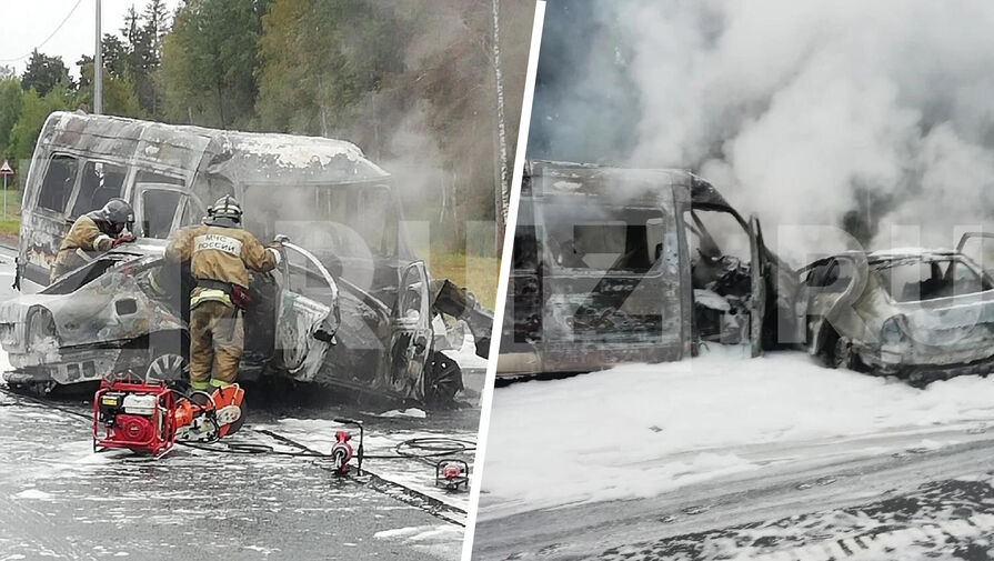 Под Псковом 14 человек пострадали в ДТП между легковушкой и автобусом, двое погибли