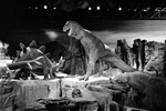 Аттракцион «Первобытный мир» в «Диснейленде», Анахайм, Калифорния, 7 июля 1966 года