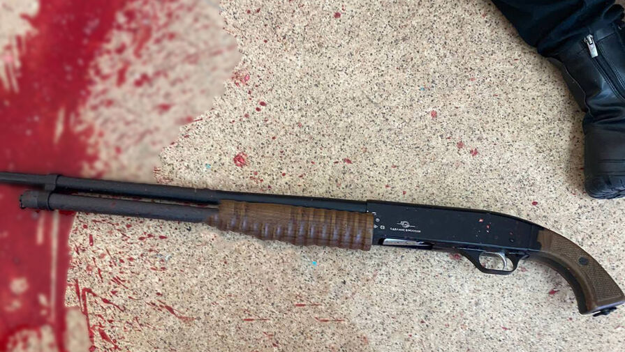 Стали известны подробности об оружии устроившей стрельбу в Брянске школьницы