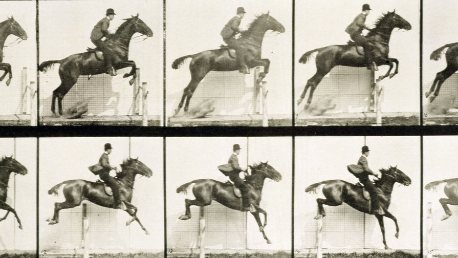 Серия фотографий Эдварда Мейбриджа. Мужчина и лошадь у барьера. 1887. Фрагмент.