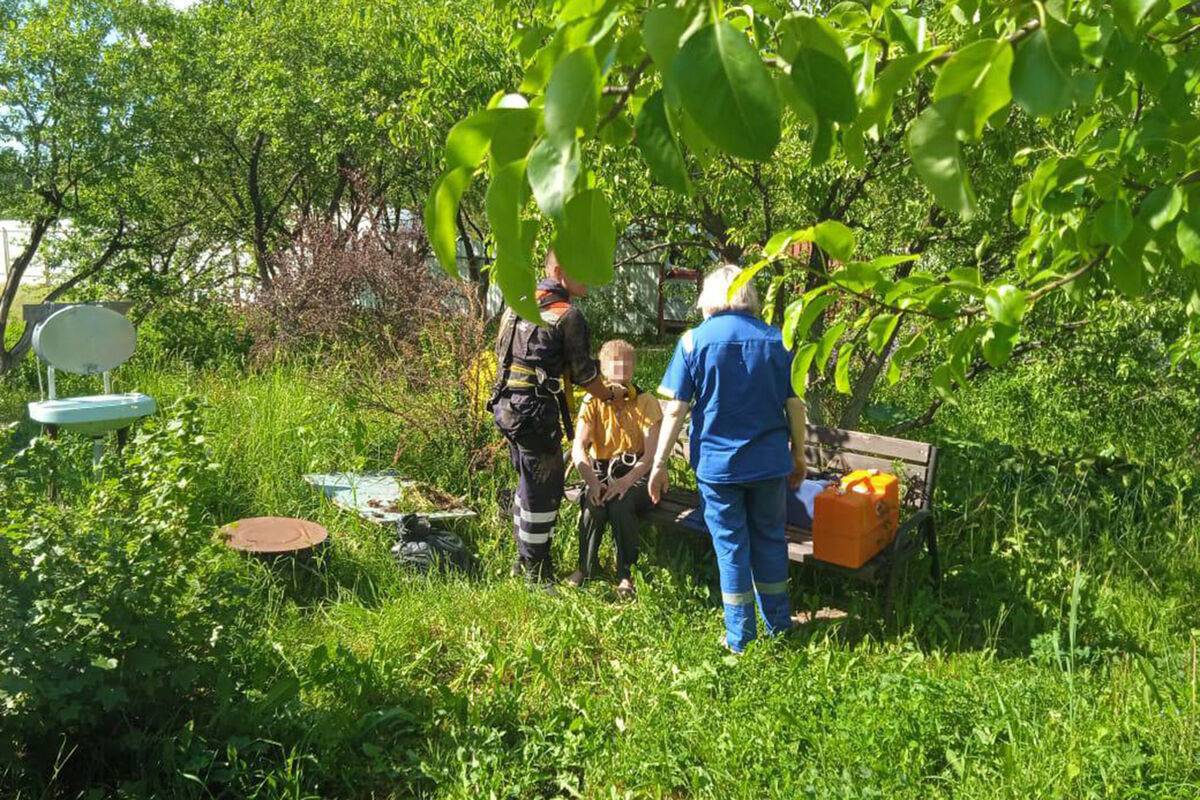 В Подмосковье 77-летняя пенсионерка упала в 12-метровый колодец, спасая  свою собаку - Газета.Ru | Новости