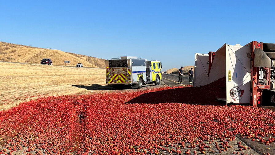 В Калифорнии дорогу завалило помидорами в результате аварии
