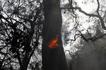 Лесные пожары в городе Патры