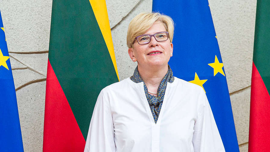 Премьер Литвы заявила о проблемах из-за документа ЕК о калининградском транзите