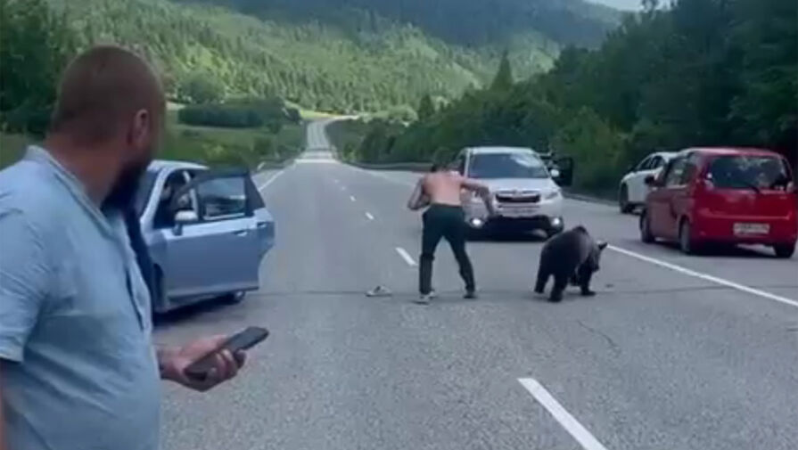 Медведь вышел к людям и попытался украсть тапки у мужчины в Иркутской области
