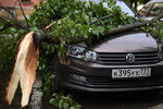 Поваленное ураганом на автомобиль дерево в Москве