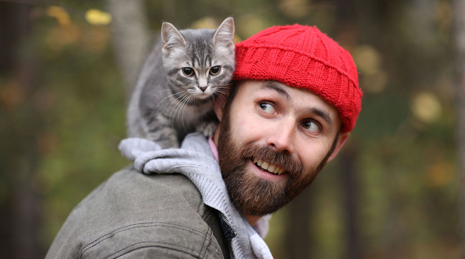 Зоопсихологи объяснили, почему кошки не могут любить человека - Газета.Ru |  Новости