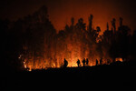 Тушение лесных пожаров в Пурене, Чили, 4 февраля 2023 года