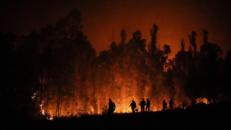 В Курганской области 2,5 тыс. жителей пострадали от природных пожаров
