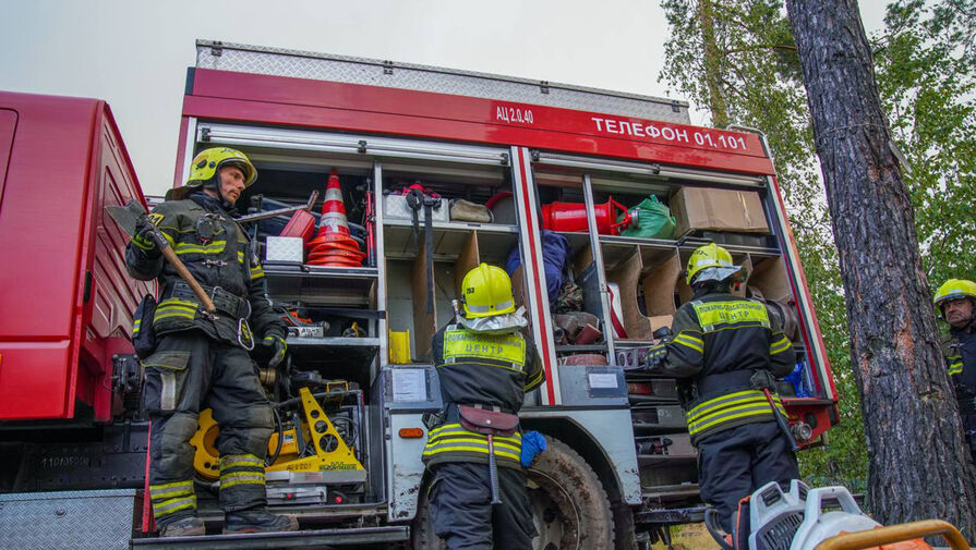 Собянин: московские спасатели продолжают помогать в борьбе с пожарами в соседних регионах