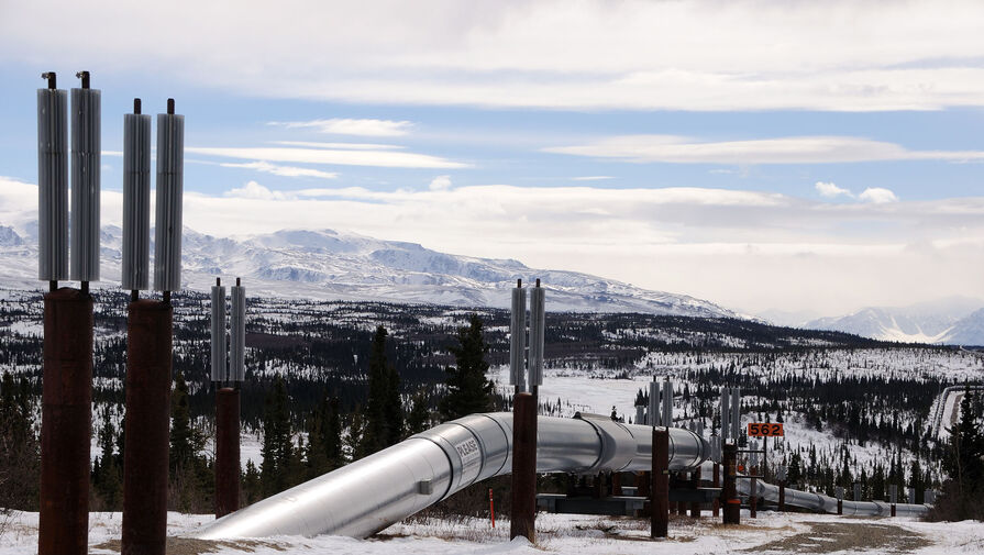 Экологи выяснили, что нефтегазовая инфраструктура портит жизнь птицам на Аляске
